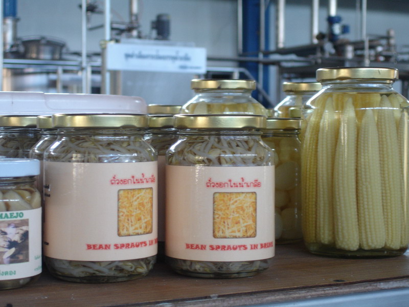 ../Picture/2552/Picture 371.jpg